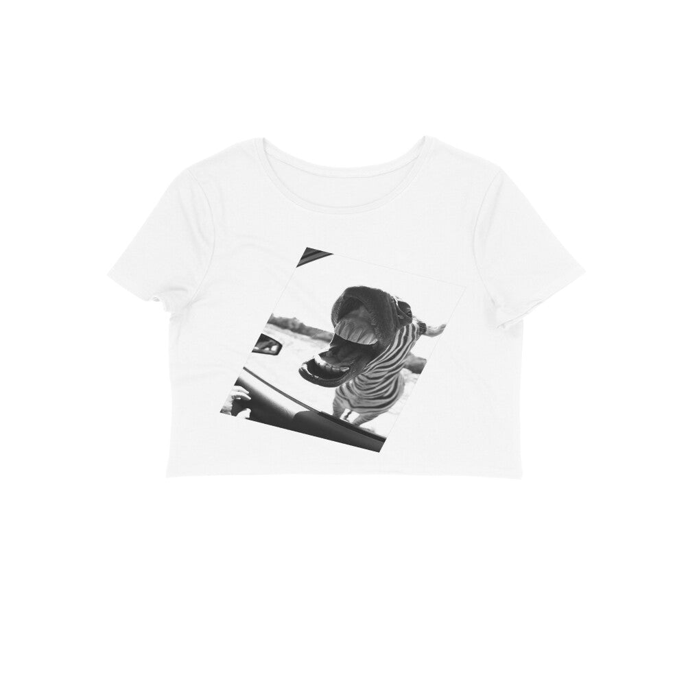 Front View - 6065887